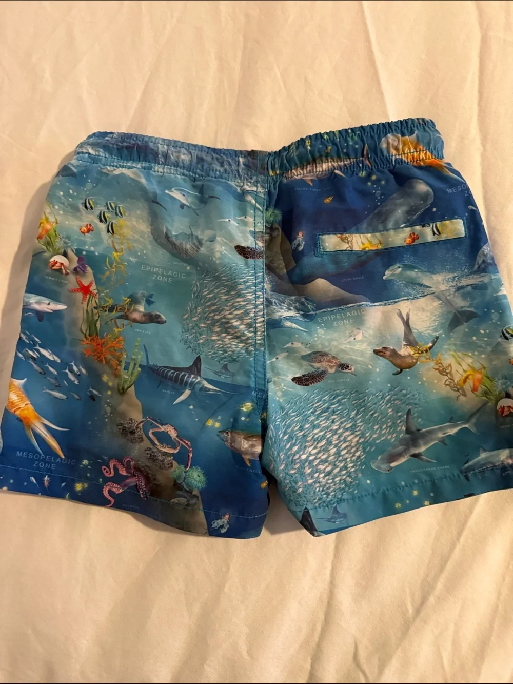 LIMITED EDITION MOLO SWIM BOY SIZE 6 BATHING SUIT